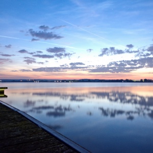 170401_DSC_1003 170401_DSC_1003