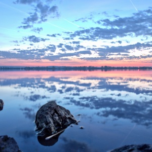 170401_DSC_1022 170401_DSC_1022