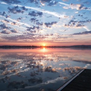 170401_DSC_1044 170401_DSC_1044