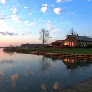 170401_DSC_1046 170401_DSC_1046