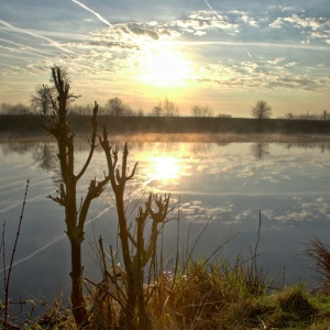 170401_DSC_1075 170401_DSC_1075