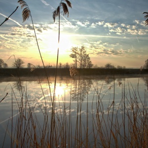 170401_DSC_1079 170401_DSC_1079