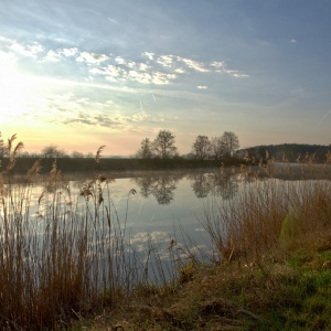 170401_DSC_1082 170401_DSC_1082