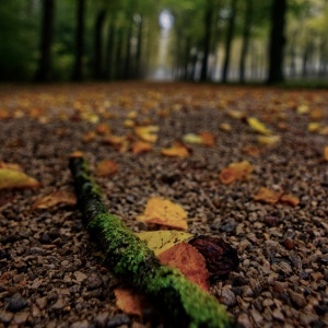 cDSC_8851_1 copy.jpg