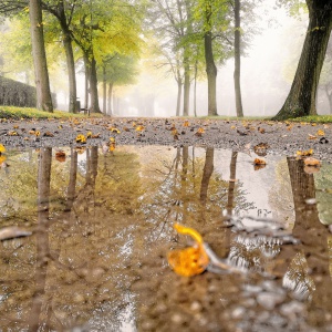 cIMG_20201018_091344_1 copy copy.jpg