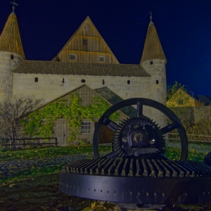 DSC_9541_1.jpg