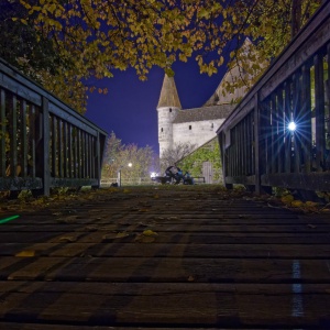DSC_9545_1.jpg